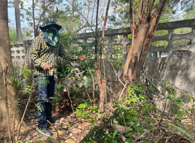 กิจกรรม “บ้านเมืองสะอาด บูชาคุณย่าโม” พารามิเตอร์รูปภาพ 17